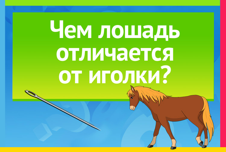 Чем лошадь отличается от иголки?