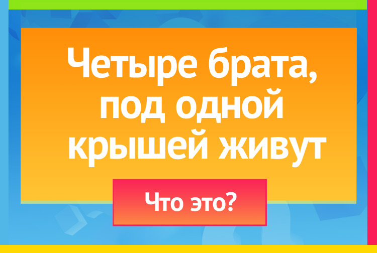 Загадка про стол. Четыре брата, Под одной крышей живут.