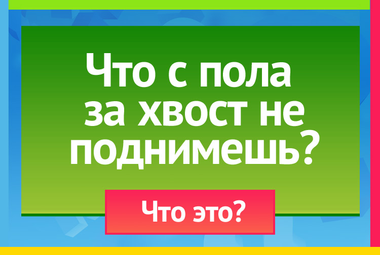 Загадка про Клубок ниток. Что с пола за хвост не поднимешь?