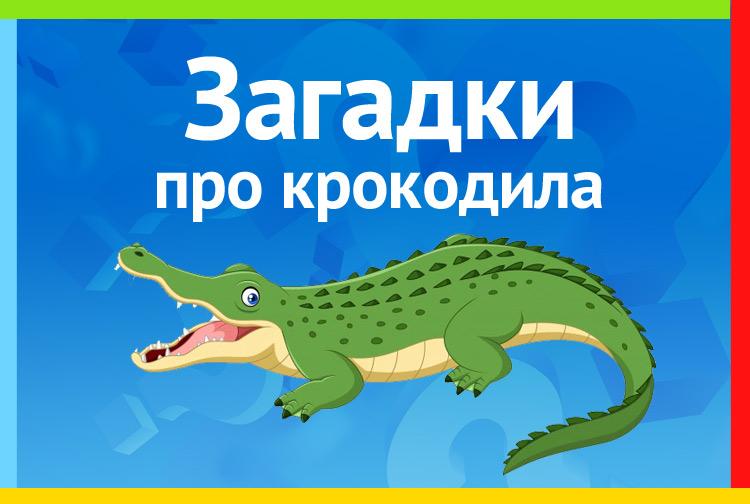 Загадки про крокодила