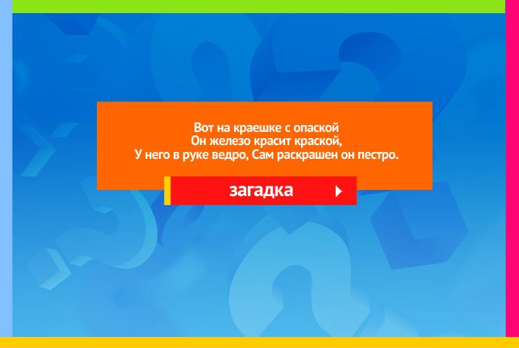 Загадки про маляра. Вот на краешке с опаской Он железо красит краской, У него в руке ведро, Сам раскрашен он пестро