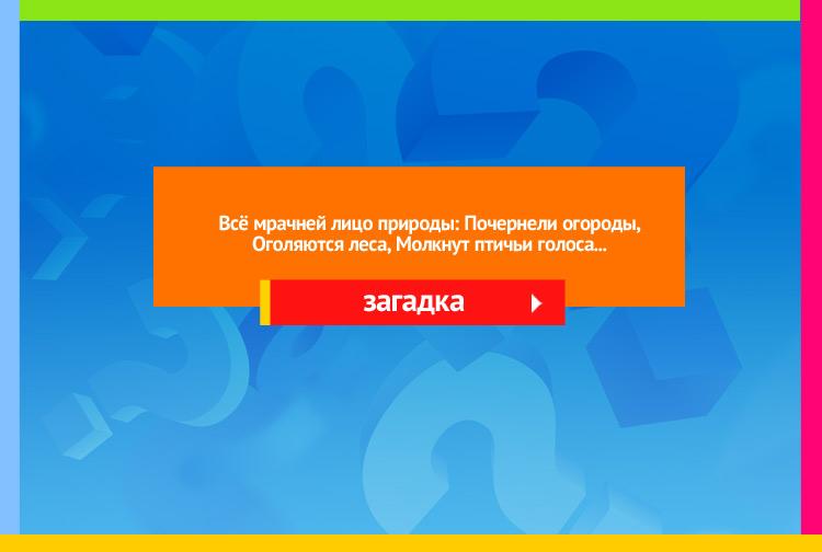 Загадка про октябрь. Всё мрачней лицо природы: Почернели огороды, Оголяются леса, Молкнут птичьи голоса, Мишка в спячку завалился. Что за месяц к нам явился?