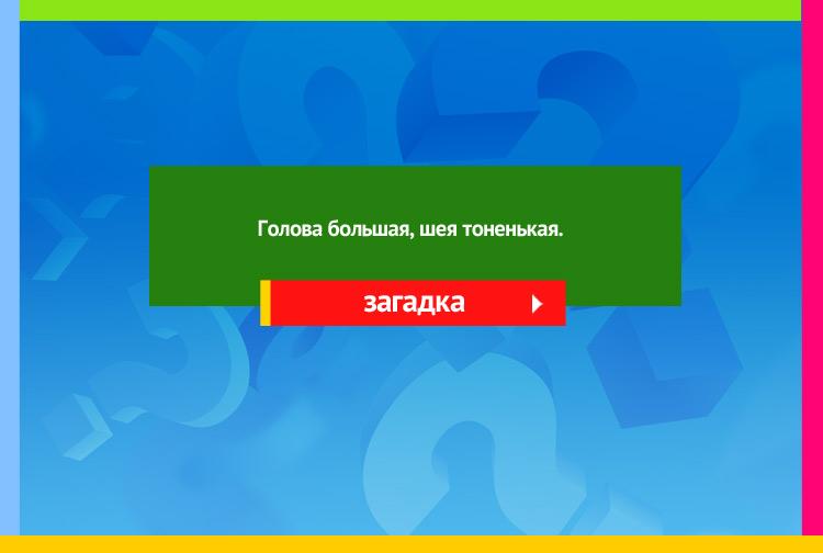 Загадка про капусту. Голова большая, Шея тоненькая.