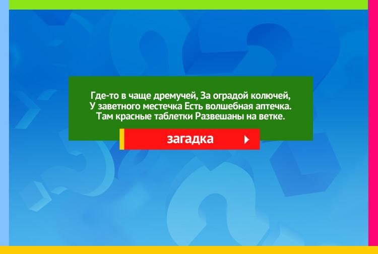 Загадка про шиповник. Где-то в чаще дремучей, За оградой колючей, У заветного местечка Есть волшебная аптечка. Там красные таблетки Развешаны на ветке