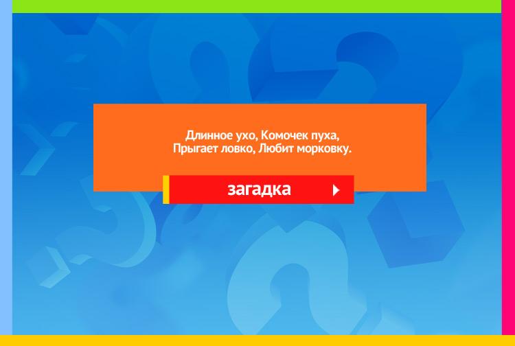 Загадка про кролика. Длинное ухо, Комочек пуха, Прыгает ловко, Любит морковку