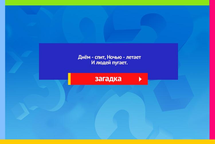 Загадка про сову. Днём спит, Ночью летает И людей пугает