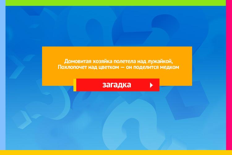 Загадка про пчелу. Домовитая хозяйка полетела над лужайкой, Похлопочет над цветком он поделится медком