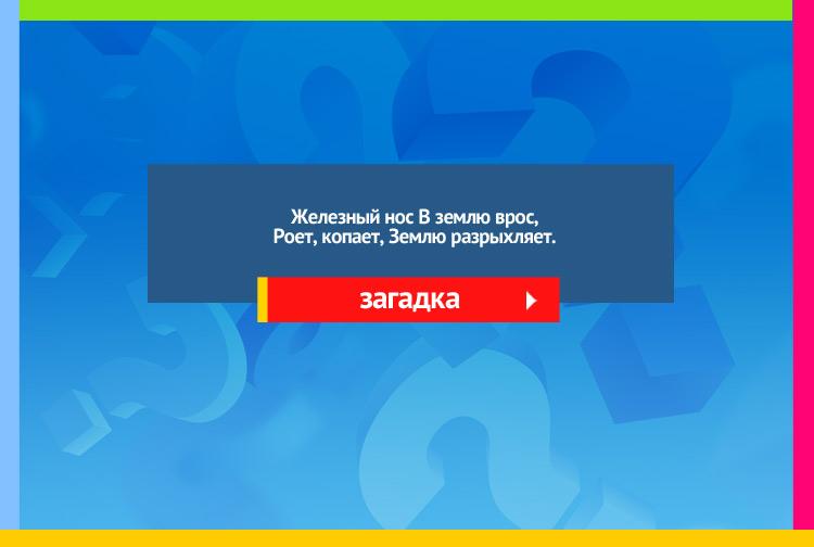 Загадка про плуг. Железный нос В землю врос, Роет, копает, Землю разрыхляет