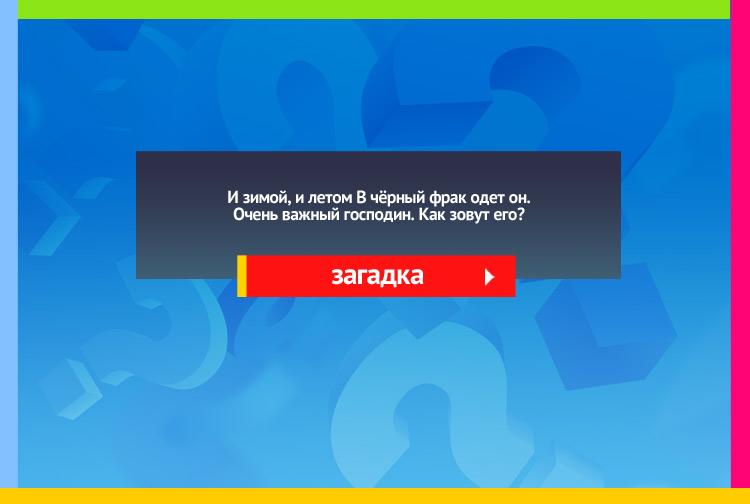 Загадки про пингвина. И зимой, и летом В чёрный фрак одет он. Очень важный господин. Как зовут его?