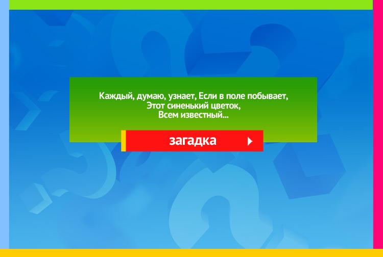 загадка про Василёк. Каждый, думаю, узнает, Если в поле побывает, Этот синенький цветок, Всем известный..