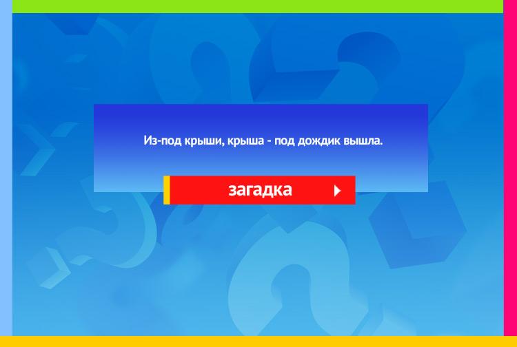 Загадка про зонтик. Из-под крыши, крыша Под дождик вышла.