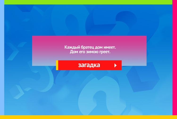 Загадка про перчатки. Каждый братец дом имеет, Дом его зимою греет.