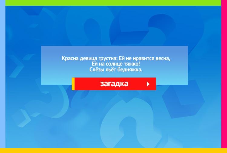 Загадка про снегурочку. Красна девица грустна, Ей не нравится весна, Ей на солнце тяжко! Слёзы льёт бедняжка.