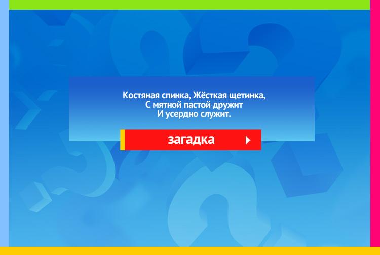 Загадка про Зубную счетку. Костяная спинка, Жёсткая щетинка, С мятной пастой дружит И усердно служит.