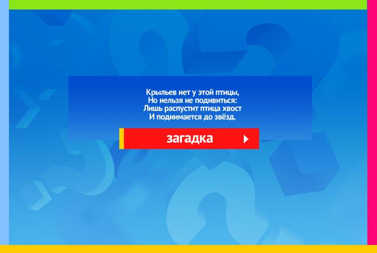 загадка про ракету. Крыльев нет у этой птицы, Но нельзя не подивиться Лишь распустит птица хвост И поднимается до звёзд.