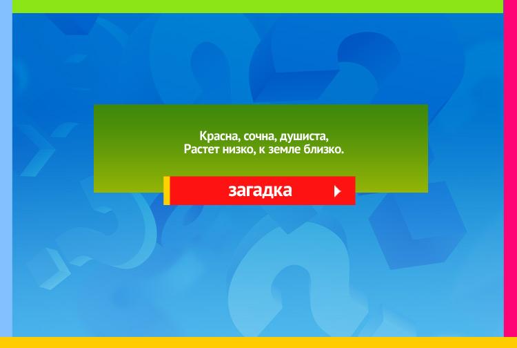 Загадка про землянику. Красна, сочна, душиста, Растет низко, к земле близко.