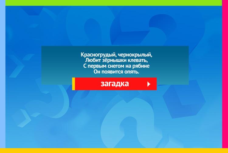 Загадка про снегиря. Красногрудый, чернокрылый, Любит зёрнышки клевать, С первым снегом на рябине Он появится опять.