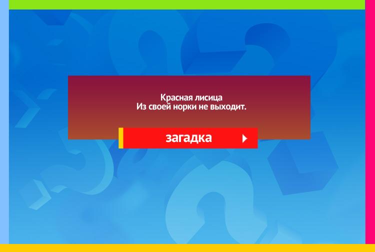 Загадка про свеклу. Красная девица Росла в темнице, Люди в руки брали, Косы рвали