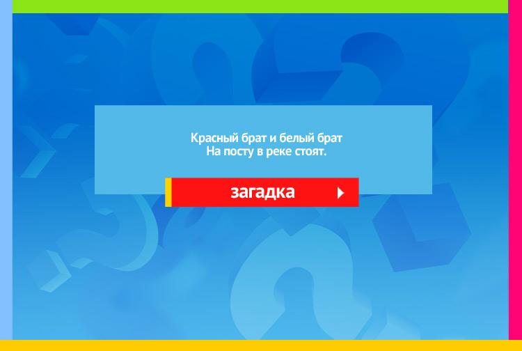 Загадка про бакен. Красный брат и белый брат На посту в реке стоят.
