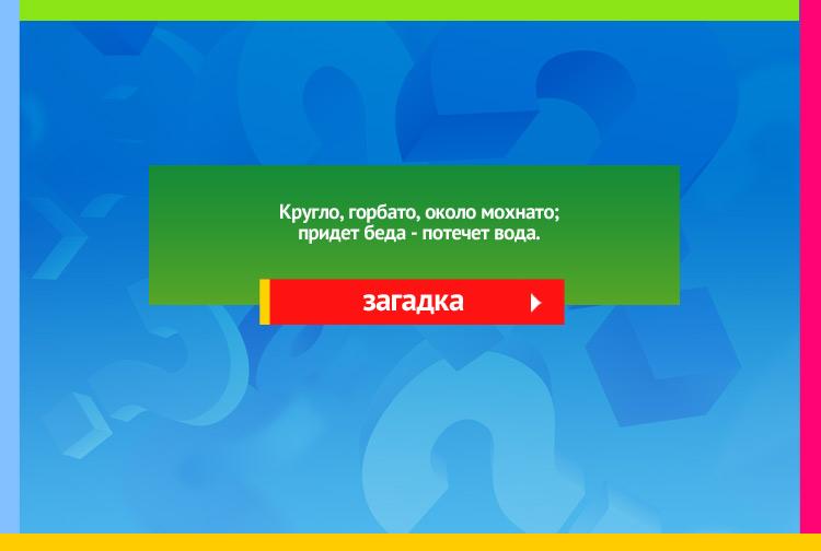 Загадка про глаз. Кругло, горбато, около мохнато. Придет беда - потечет вода.