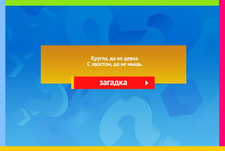 Загадка про репу. Кругла, да не девка. С хвостом, да не мышь