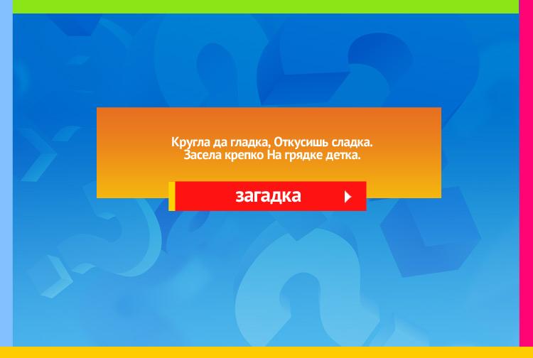 Загадка про репу. Кругла да гладка, Откусишь сладка. Засела крепко На грядке детка.