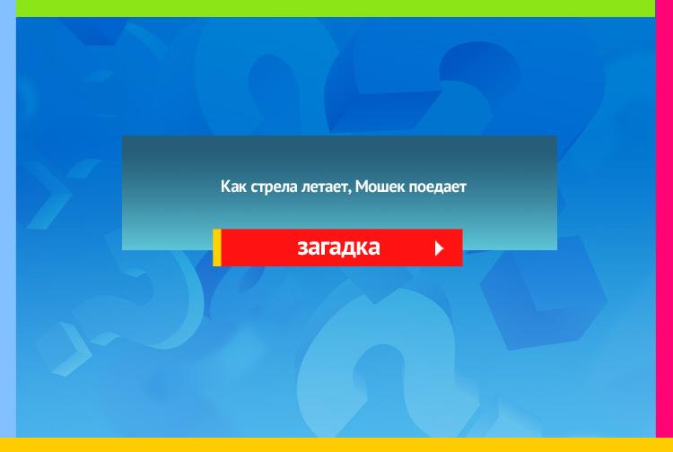 Загадка про ласточку. Как стрела летает, Мошек поедает.