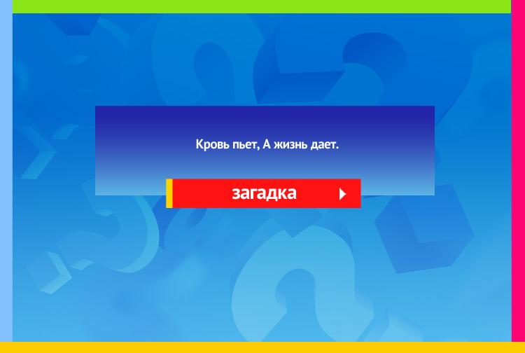 Загадка про пиявку. Кровь пьет, А жизнь дает.