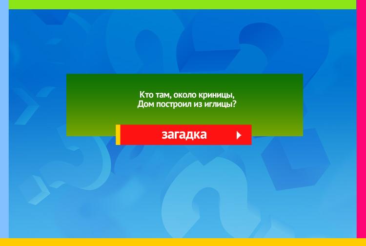 Загадка про муравья. Кто там, около криницы, Дом построил из иглицы?