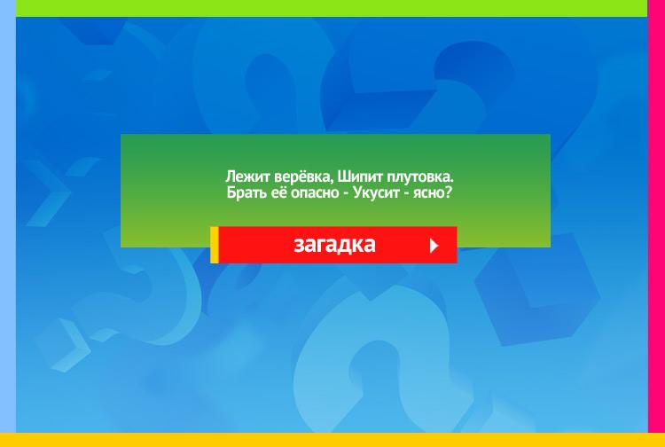 Загадка про змею. Лежит верёвка, Шипит плутовка. Брать её опасно Укусит - ясно?