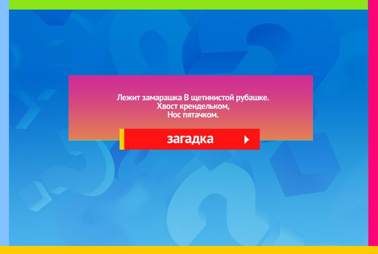 Загадка про поросенка. Лежит замарашка В щетинистой рубашке. Хвост крендельком, Нос пятачком.