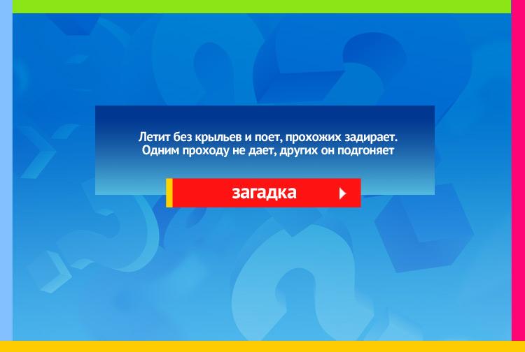 Загадка про ветер. Летит без крыльев и поет, прохожих задирает. Одним проходу не дает, других он подгоняет.