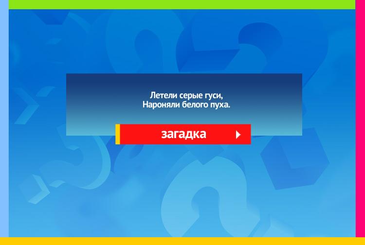 Загадка про снежные тучи. Летели серые гуси, Нароняли белого пуха.