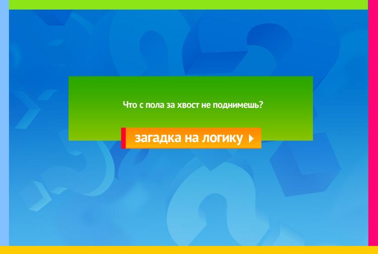 Загадка про Клубок ниток. Что с пола за хвост не поднимешь?