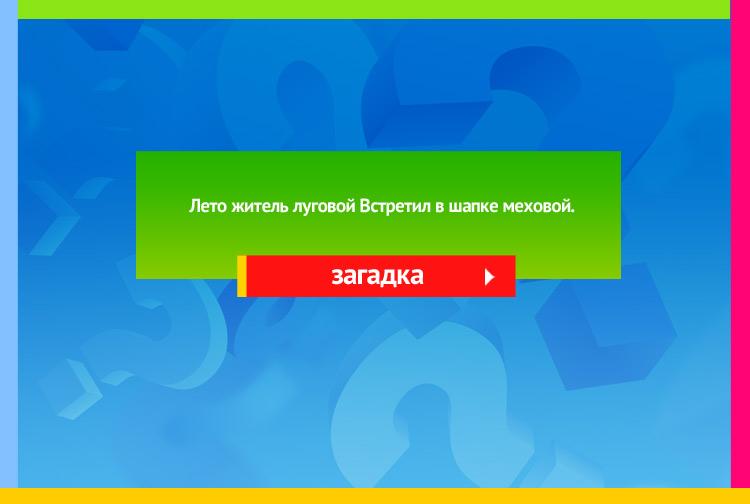 Загадка про одуванчик. Лето житель луговой Встретил в шапке меховой.