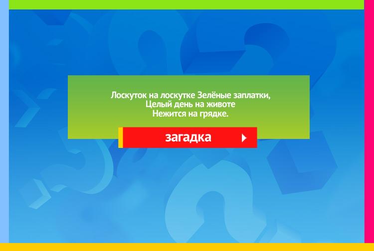 Загадка про капусту. Лоскуток на лоскутке Зелёные заплатки, Целый день на животе Нежится на грядке.