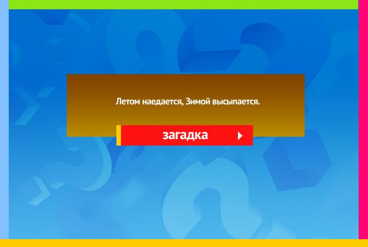 Загадка про медведя. Летом наедается, Зимой высыпается.