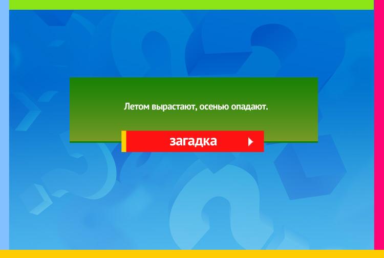 Загадка про листья. Летом вырастают, осенью опадают.