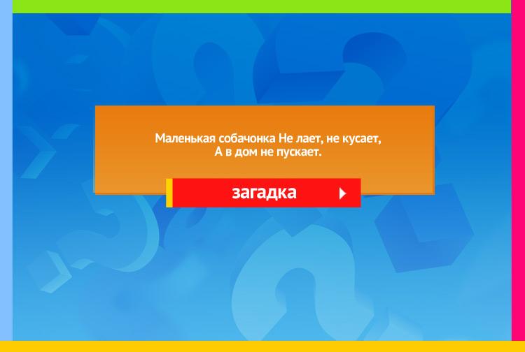 Загадка про замок на дверях. Маленькая собачонка Не лает, не кусает, А в дом не пускает.