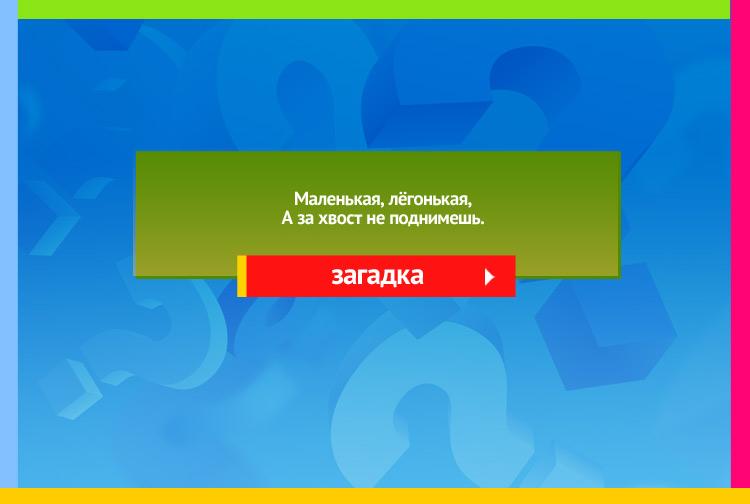 Загадка про ящирецу. Маленькая, лёгонькая, А за хвост не поднимешь.