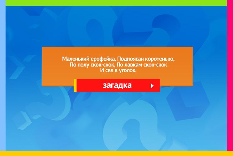 Загадка про веник. Маленький ерофейка, Подпоясан коротенько, По полу скок-скок, По лавкам скок-скок И сел в уголок.