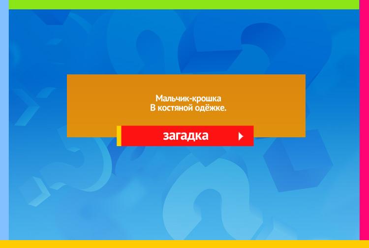 Загадки про орех. Мальчик-крошка В костяной одёжке.