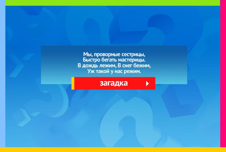 Загадка про лыжи. Мы, проворные сестрицы, Быстро бегать мастерицы. В дождь лежим, В снег бежим, Уж такой у нас режим.