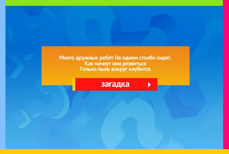 Загадка про метлу и веник. Много дружных ребят На одном столбе сидят. Как начнут они резвиться Только пыль вокруг клубится.