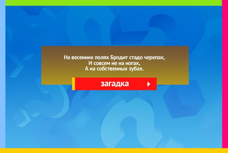 Загадка про Борона. На весенних полях Бродит стадо черепах, И совсем не на ногах, А на собственных зубах