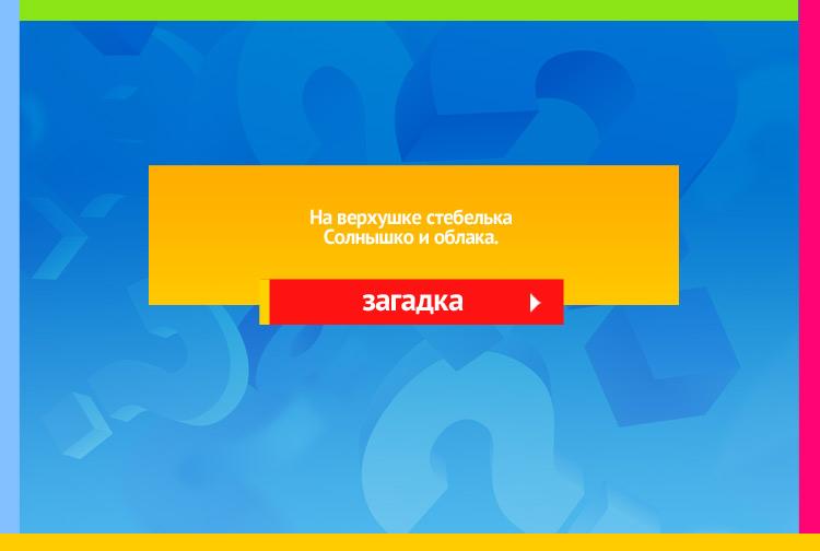 Загадка про ромашку. На верхушке стебелька Солнышко и облака.