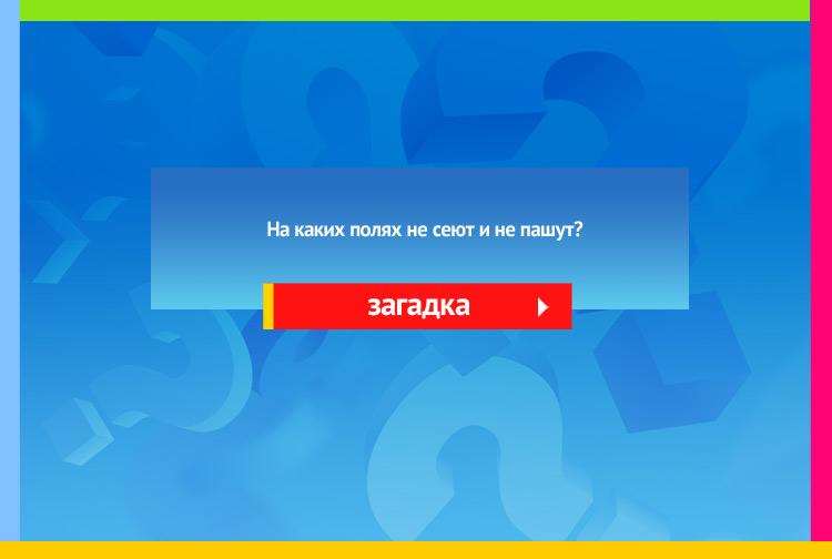 Загадка про поля шляпы или тетради. На каких полях Не сеют и не пашут?