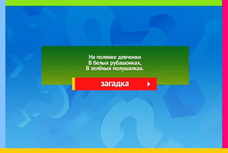 Загадка про Березы. На полянке девчонки В белых рубашонках, В зелёных полушалках.