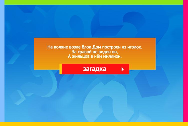 Загадка про Муравейник. На поляне возле ёлок Дом построен из иголок. За травой не виден он, А жильцов в нём миллион.