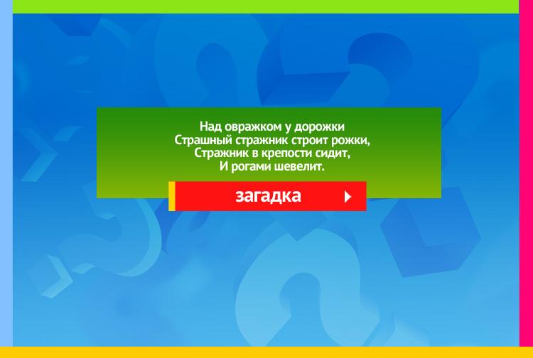 Загадка про улитку. Над овражком у дорожки Страшный стражник строит рожки, Стражник в крепости сидит, И рогами шевелит.